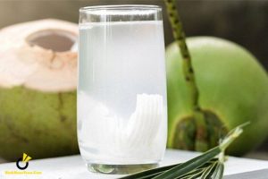 nước dừa tác dụng gì Binhnuocteen