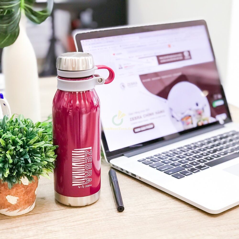 Bình Giữ Nhiệt Zebra Inox Wisdom - Lifestyle Collection - 11263X (500ml 750ml 1000ml) 4
