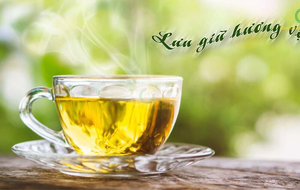 Phích pha trà rạng đông 1542 1,5l 3