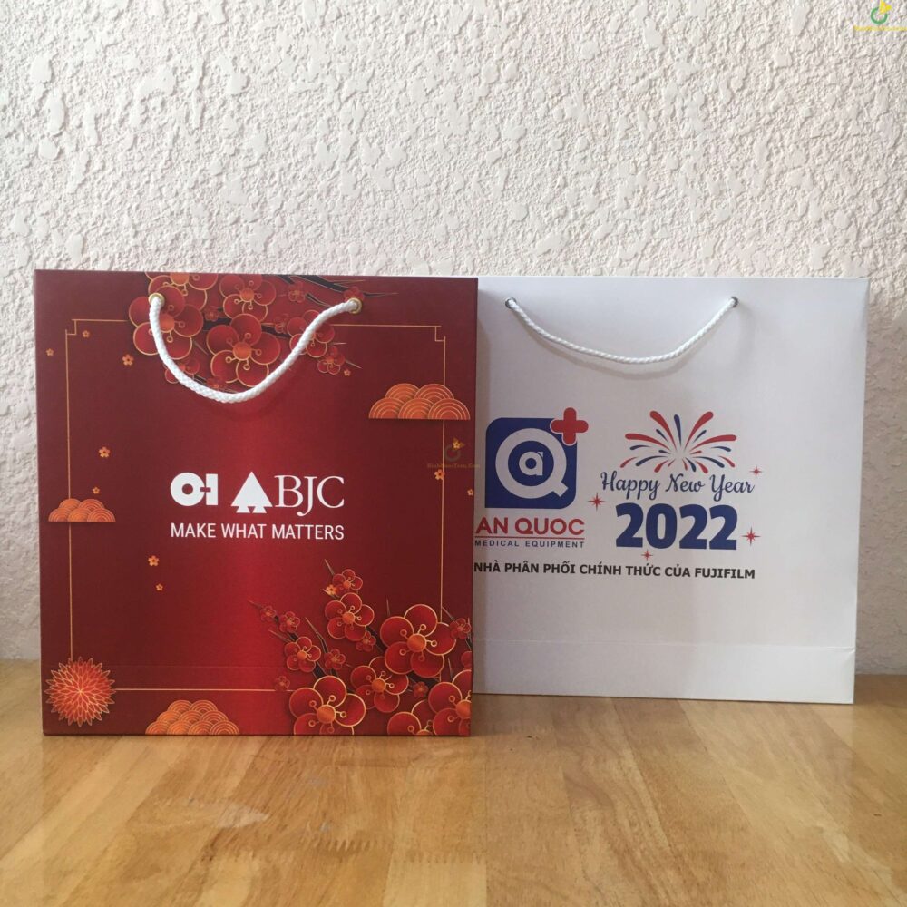 Túi Giấy Đựng Hộp Quà Tặng Có Quai Xách In Logo TG05 7