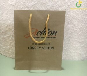 Túi Giấy Đựng Sổ Tay Có Quai Xách In logo TG03 4