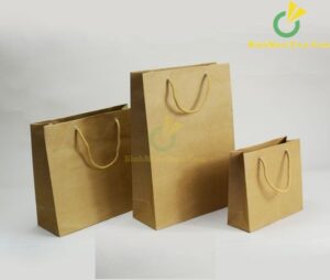Túi Giấy Đựng Sổ Tay Có Quai Xách In logo TG03 16