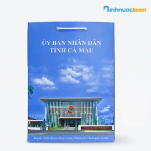 tui-giay-qua-tang-11